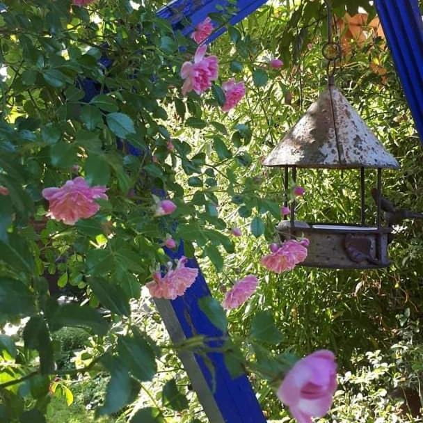 La Cabane Du Bon Chemin ,Spa Laval  Exteriör bild